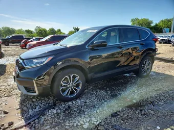 2020 Honda CR-V 5J6RW2H51LL003567 Lot 56718906