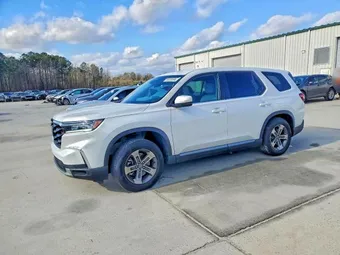 2024 Honda Pilot 5FNYG2H41RB013016 Lot 99338595