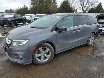 2019 Honda Odyssey 5FNRL6H73KB107826 Lot 78347685