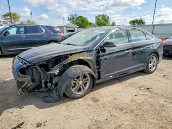 2019 Hyundai Sonata 5NPE34AF7KH753442 Lot 52905456