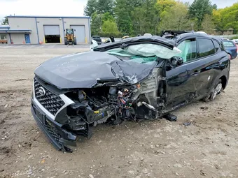2019 Hyundai Tucson KM8J2CA45KU064687 Lot 53190906