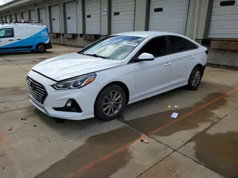2019 Hyundai Sonata 5NPE24AF5KH736447 Lot 48680396