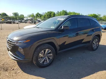 2024 Hyundai Tucson KM8JBCD10RU172355 Lot 54163106