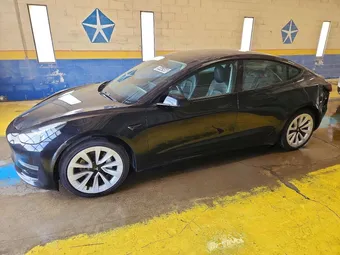 2023 Tesla Model 3 5YJ3E1EA7PF437527 Lot 58443466