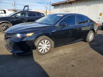 2019 Toyota Camry 4T1B31HK1KU515267 Lot 79114815