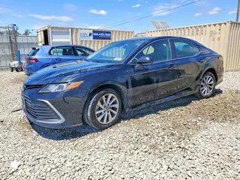 2023 Toyota Camry 4T1C11AK7PU810031 Lot 58962696
