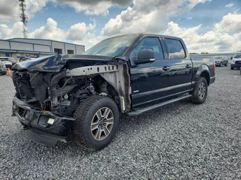2016 Ford F-150 1FTEW1EP3GFD31999 Lot 55104866
