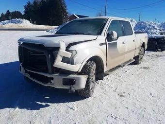 2016 Ford F-150 1FTFW1EF5GFD24726 Lot 77668975