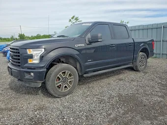 2016 Ford F-150 1FTEW1EP1GFC92166 Lot 57672726