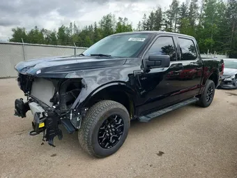 2025 Ford F-150 1FTEW3LP6SKD42459 Lot 53258336