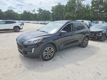 2020 Ford Escape 1FMCU9H62LUC67194 Lot 56313446