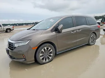 2022 Honda Odyssey 5FNRL6H70NB008269 Lot 54209226