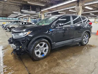 2017 Honda CR-V 7FARW1H58HE002334 Lot 56177856