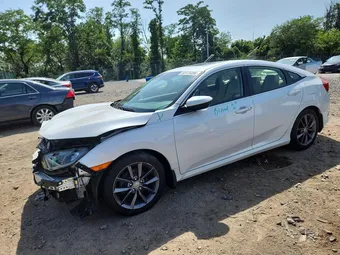 2019 Honda Civic JHMFC1F35KX001257 Lot 59173496