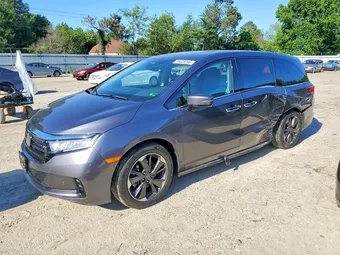 2024 Honda Odyssey 5FNRL6H94RB056333