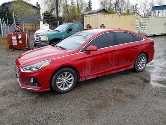 2019 Hyundai Sonata 5NPE24AF5KH787771 Lot 53850686