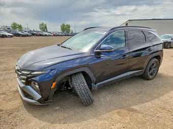 2025 Hyundai Tucson KM8JDDD2XSU333583 Lot 54829986
