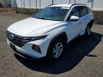 2024 Hyundai Tucson 5NMJBCDE4RH297793 Lot 55861506