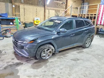2023 Hyundai Tucson 5NMJBCAE9PH197898 Lot 55828466