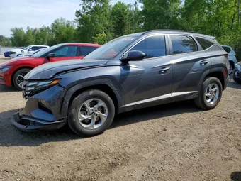 2024 Hyundai Tucson KM8JBCDE6RU306501 Lot 56240536