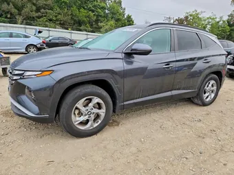 2023 Hyundai Tucson 5NMJBCAEXPH260328 Lot 54255986