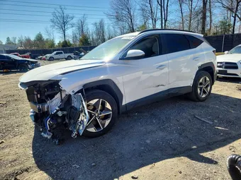 2025 Hyundai Tucson 5NMJBCDE4SH542355 Lot 45704346