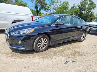 2019 Hyundai Sonata 5NPE24AF7KH773547 Lot 58022526
