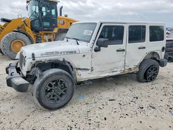 2017 Jeep Wrangler 1C4HJWEGXHL619823 Lot 51339036