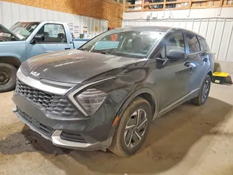 2024 Kia Sportage KNDPUCDG4R7136454 Lot 55456976