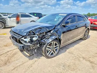 2019 Kia Forte 3KPF34AD0KE113869 Lot 58403826