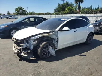 2021 Tesla Model 3 5YJ3E1EB7MF077924 Lot 53814356