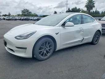 2020 Tesla Model 3 5YJ3E1EB9LF650112 Lot 55424286