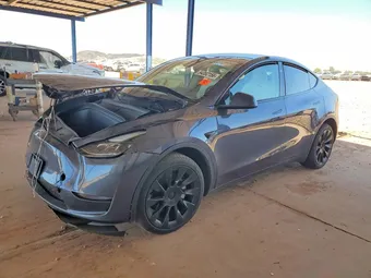 2023 Tesla Model Y 7SAYGDEE5PF879892 Lot 54352156