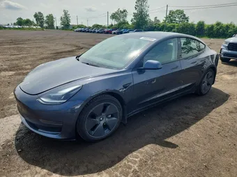 2021 Tesla Model 3 5YJ3E1EA1MF981582 Lot 56653896