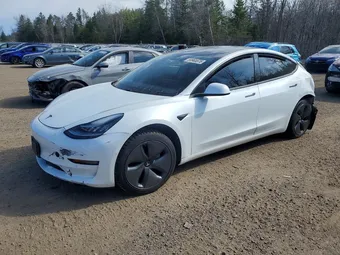 2020 Tesla Model 3 5YJ3E1EA3LF786338 Lot 50965576