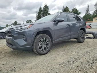 2024 Toyota RAV4 2T3B6RFV8RW059126 Lot 59350336