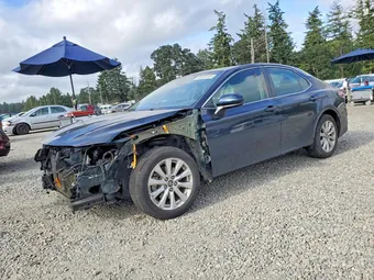 2019 Toyota Camry 4T1B11HK3KU787776 Lot 59169146