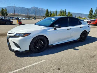 2020 Toyota Camry 4T1NZ1AK2LU040526 Lot 54273336