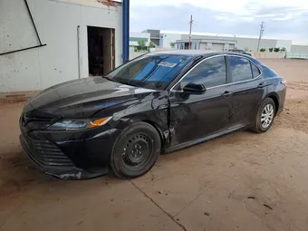 2019 Toyota Camry 4T1B31HK3KU006801 Lot 58487226