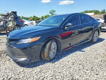 2019 Toyota Camry 4T1B11HK2KU768930 Lot 55780346