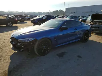 2019 BMW 8 Series WBABC4C58KBU95843