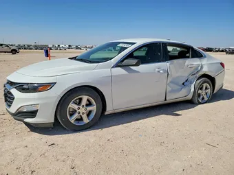 2021 Chevrolet Malibu 1G1ZC5ST8MF013545 Lot 53934246