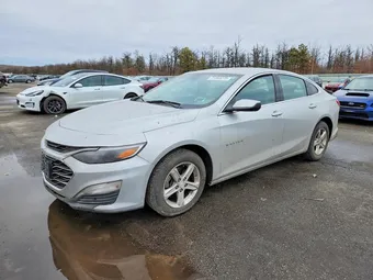 2020 Chevrolet Malibu 1G1ZC5ST5LF156192 Lot 77393275
