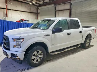 2017 Ford F-150 1FTEW1EG2HFA65697 Lot 47353216