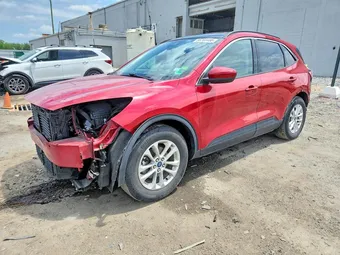 2020 Ford Escape 1FMCU0G68LUA69801 Lot 55768466
