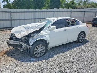 2015 Honda Accord 1HGCR2F80FA020832 Lot 50916046