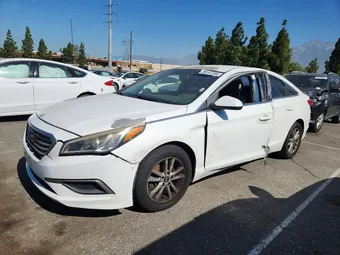 2017 Hyundai Sonata 5NPE24AF6HH571193 Lot 56187356