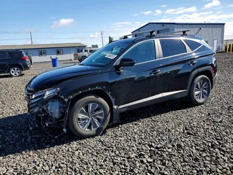 2023 Hyundai Tucson KM8JBCA18PU090438 Lot 53908816