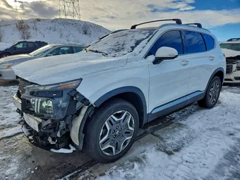 2021 Hyundai Santa Fe 5NMS4DAL6MH365317 Lot 95189565