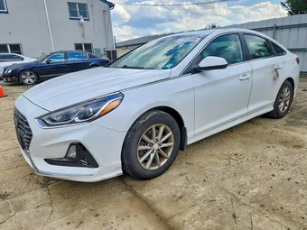 2019 Hyundai Sonata 5NPE24AF7KH801041 Lot 57960006